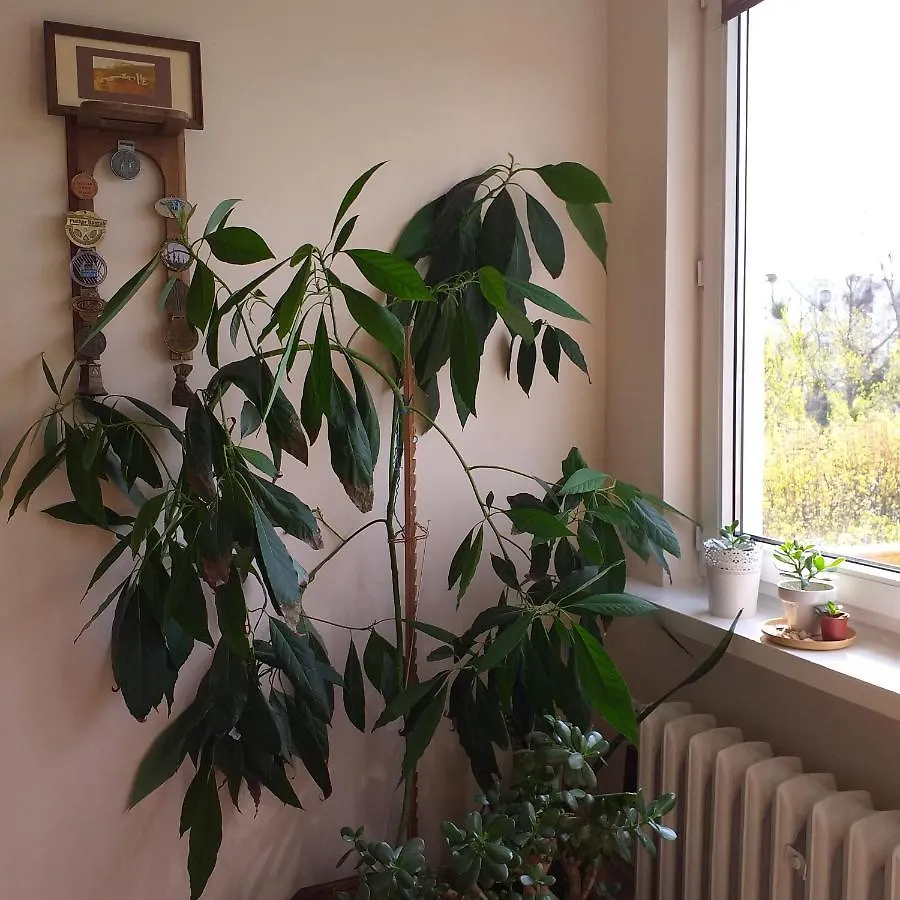 Wakacje Nad Morzem Apartment Gdansk Poland